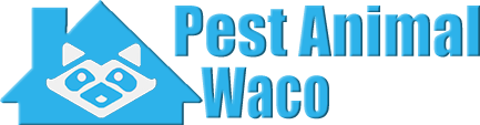 Waco Wildlife and Animal Removal